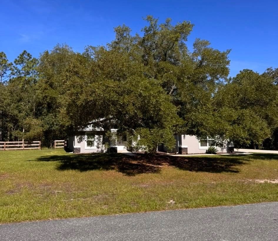 Before: an overgrown live oak crowding and hiding a Florida home